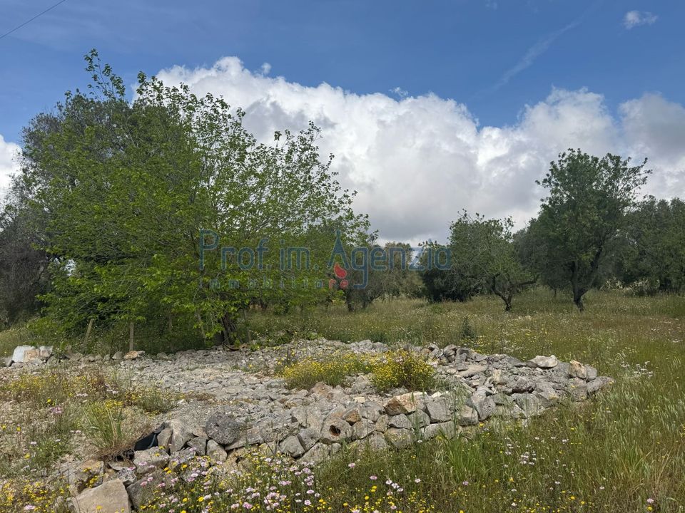 Helårsgrund i Carovigno, Brindisi - foto 3